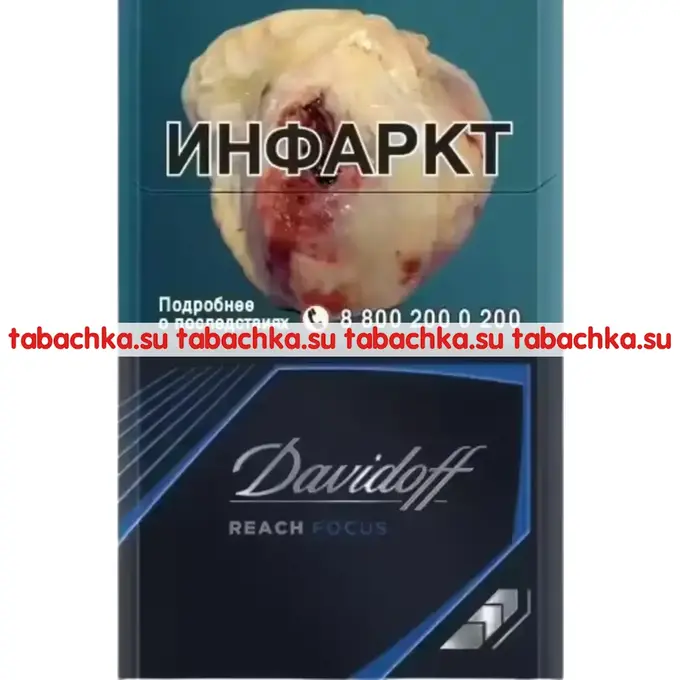 Сигареты Davidoff Reach Focus Black